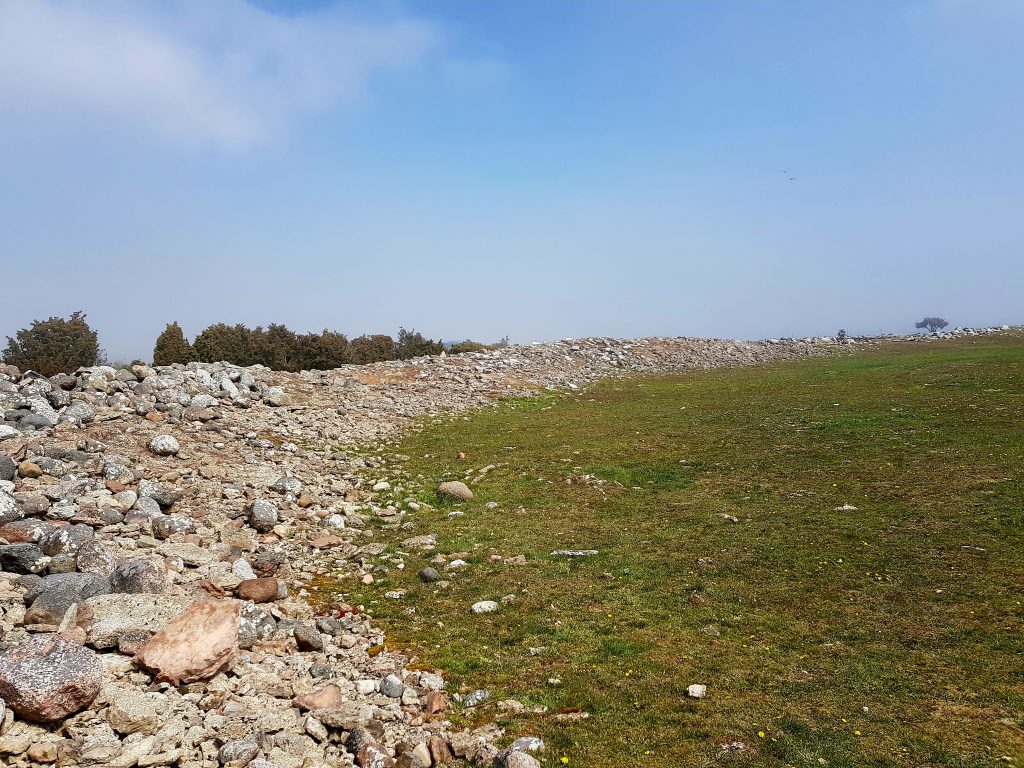 This image has an empty alt attribute; its file name is 20190510_131645_1-1024x768.jpg